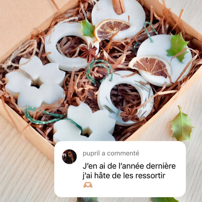 Coffret de 6 boules de noël parfumées - senteurs sapin de noël & pain d'épices